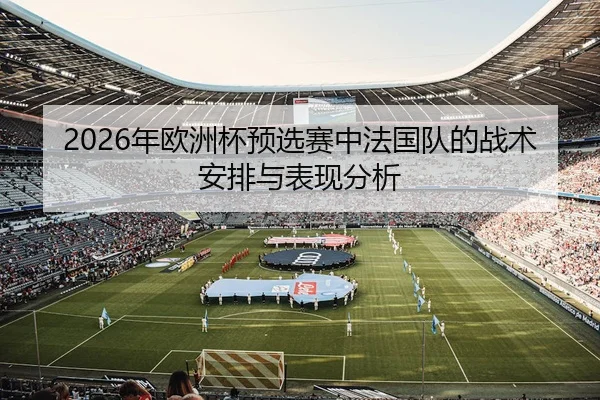 2026年欧洲杯预选赛中法国队的战术安排与表现分析
