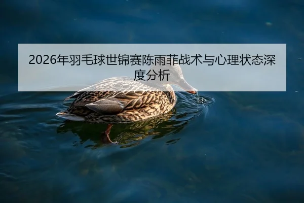 2026年羽毛球世锦赛陈雨菲战术与心理状态深度分析