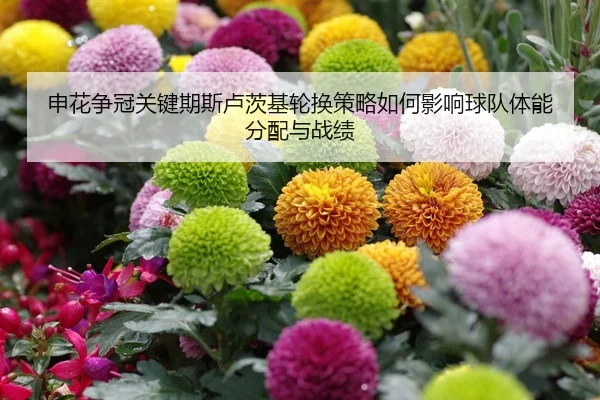 shen-hua-zheng-guan-guan-jian-qi-si-lu-ci-ji-lun-huan-ce-lve-ru-he-ying-xiang-qiu-dui-ti-neng-fen-pei-yu-zhan-ji-2-687.jpg