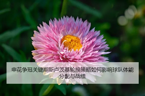 shen-hua-zheng-guan-guan-jian-qi-si-lu-ci-ji-lun-huan-ce-lve-ru-he-ying-xiang-qiu-dui-ti-neng-fen-pei-yu-zhan-ji-3-683.jpg