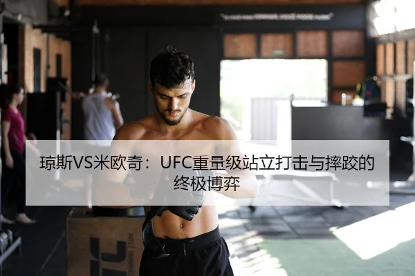 琼斯VS米欧奇：UFC重量级站立打击与摔跤的终极博弈