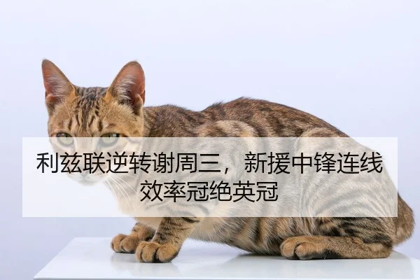 li-zi-lian-ni-zhuan-xie-zhou-san-xin-yuan-zhong-feng-lian-xian-xiao-lv-guan-jue-ying-guan-2-131.jpg