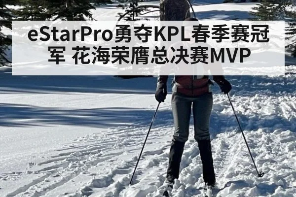 eStarPro勇夺KPL春季赛冠军 花海荣膺总决赛MVP